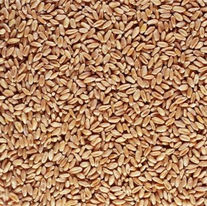 Comment faire des sacs de blé - savoir sur la vie