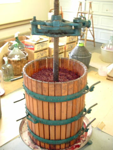 Wie man Wein aus Trauben
