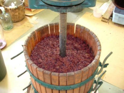 Comment faire du vin à partir de raisins