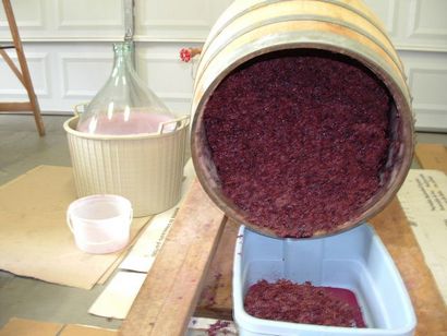 Wie man Wein aus Trauben