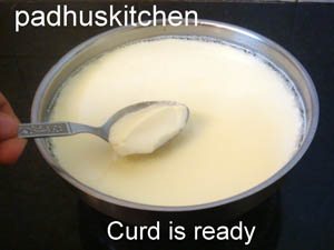 Wie machen Joghurt zu Hause Making Curd (Dahi) -Curd Rezept, Padhuskitchen