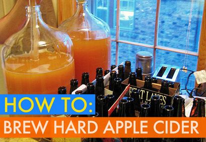 Comment faire de votre délicieux cidre de pomme dur en 6 étapes faciles, Inhabitat - Green Design,