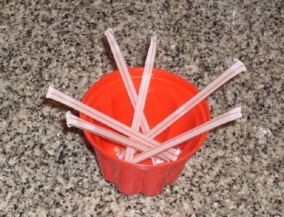 Comment faire vos propres miel Straws