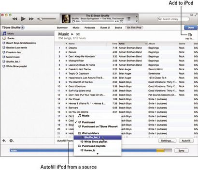 Comment gérer votre bibliothèque iPod manuellement