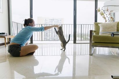Wie Sie mit Ihrer Katze für Feline-Menschliche Bindung spielen