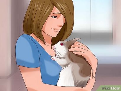 Wie Sie mit Ihrem Kaninchen 9 Schritte (mit Bildern) spielen