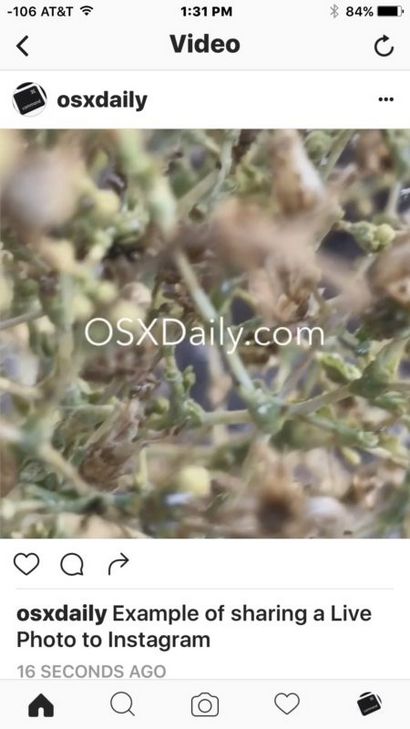 Comment publier des photos en direct à Instagram - Facebook, OSXDaily