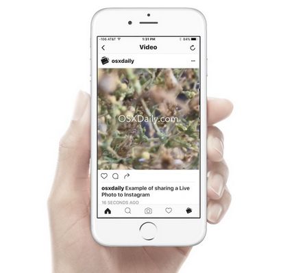 Comment publier des photos en direct à Instagram - Facebook, OSXDaily
