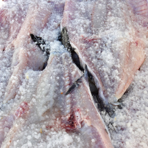 Wie man Salz und Trockenfisch, Arctic Traum