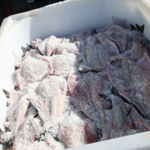 Wie man Salz und Trockenfisch, Arctic Traum