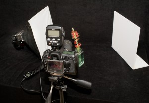 Wie Einrichten eines Lighting Studio für Makro-Blumen-Fotografie Up