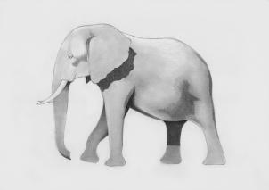 Comment Esquisser un éléphant, étape par étape, Grands animaux Plain, Animaux, GRATUIT Dessin en ligne