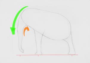 Comment Esquisser un éléphant, étape par étape, Grands animaux Plain, Animaux, GRATUIT Dessin en ligne