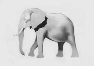 Comment Esquisser un éléphant, étape par étape, Grands animaux Plain, Animaux, GRATUIT Dessin en ligne