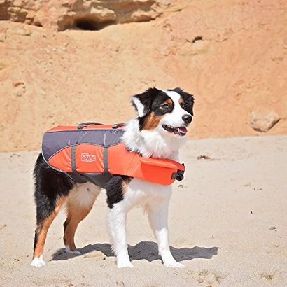 Wie Sie Ihren Hund beibringt Hund Paddel 101 schwimmen