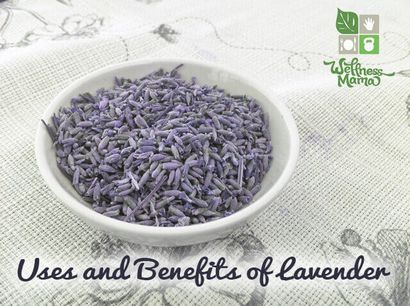 Comment utiliser la lavande pour la santé, bien-être Mama (comment faire du thé fleur de lavande) Comment utiliser la lavande pour la santé, bien-être Mama
