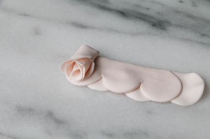 Comment utiliser le moyen le plus jamais Rose sucre de fleur de coupe