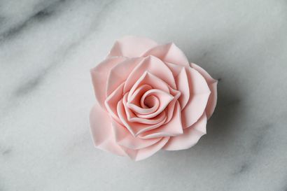 Comment utiliser le moyen le plus jamais Rose sucre de fleur de coupe