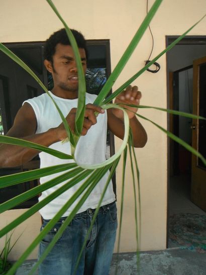 Comment Tisser un chapeau de noix de coco Out feuilles, bois Jenny