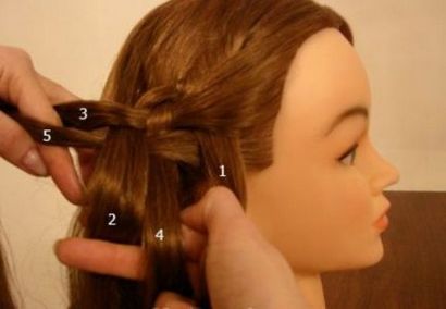 Comment Weave Cinq Strand Diagonale française Braid Coiffure