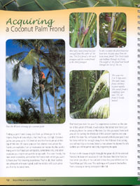 Comment Weave hawaïenne Coco Palm frondes