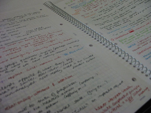 Wie zu schreiben, die wirklich Study Notes arbeiten!