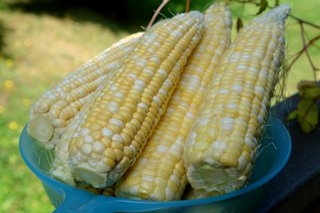 Humitas ou gâteaux de maïs frais cuits à la vapeur