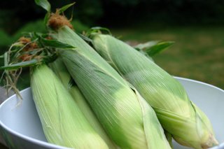 Humitas ou gâteaux de maïs frais cuits à la vapeur (vapeur) Humitas ou gâteaux de maïs frais cuits à la vapeur