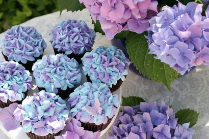 Petits gâteaux hortensias - Treats Glorieux