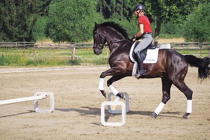 Ingrid Klimke spricht über Ausbildung, The Horse Magazine