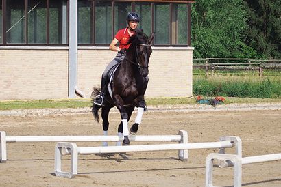 Ingrid Klimke parle de formation, le cheval Magazine