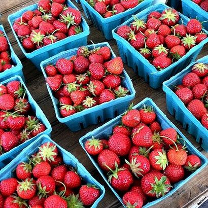 Dans les fraises de la saison - Confection de confitures - Dans Jennie - Cuisine s (comment faire Shira au micro-ondes) Dans les fraises de la saison - Confection de confitures - Dans Jennie - Kitchen