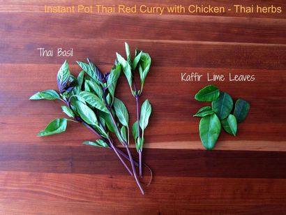 Pot instantanée Thai Red Curry au poulet - Peinture La cuisine rouge