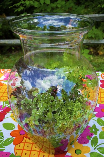 Intro sur Comment faire un Terrarium