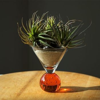 Intro sur Comment faire un Terrarium