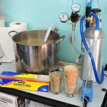 Intro Sour Maischen - Fünf Klingen Brewing