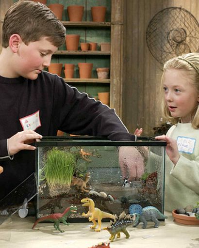 C'est vivant! Comment faire un Terrarium, Martha Stewart