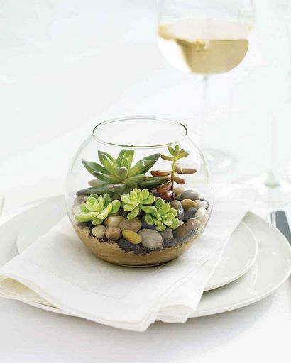 Es lebt! Wie man ein Terrarium, Martha Stewart