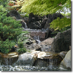 Jardinage japonais, Organisation japonaise de jardinage (Без кейворда) Jardinage japonais, Organisation japonaise de jardinage