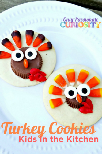 Les enfants dans la cuisine Comment faire de la Turquie Biscuits au sucre - Seulement une curiosité passionnée