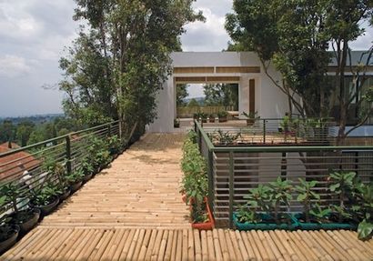 Aménagement paysager avec Bamboo - Bob Vila - Blogs de (aménagement paysager) Aménagement paysager avec Bamboo - Bob Vila - blogs