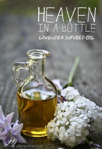 Lavande infusée Recette huile AKA - Heaven in a Bottle - à base de plantes Academy (ciel) Lavande infusée Recette huile AKA - Heaven in a Bottle - à base de plantes Academy