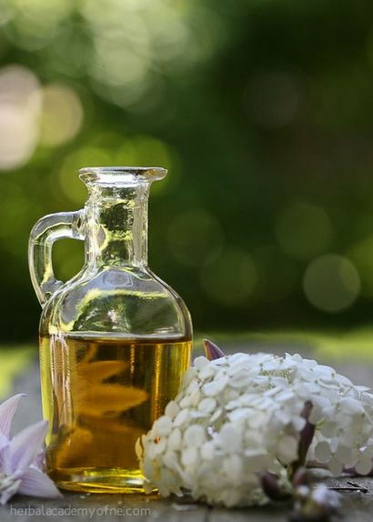 Lavande infusée Recette huile AKA - Heaven in a Bottle - Academy à base de plantes (comment faire l'essence de fleur de lavande) Lavande infusée Recette huile AKA - Heaven in a Bottle - à base de plantes Academy