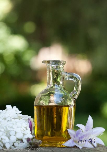 Lavande infusée Recette huile AKA - Heaven in a Bottle - à base de plantes Academy (infusé) Lavande infusée Recette huile AKA - Heaven in a Bottle - à base de plantes Academy