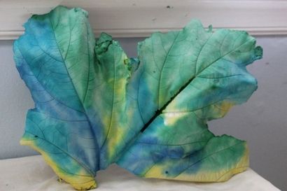 Casting Blatt mit Gips für Wunderschöne 3-D-Blätter