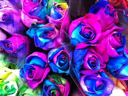 Apprenez à faire Roses simples de couleur et Rainbow