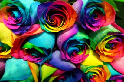 Erfahren Sie, wie einfach Bunt- und Regenbogen-To Make Roses
