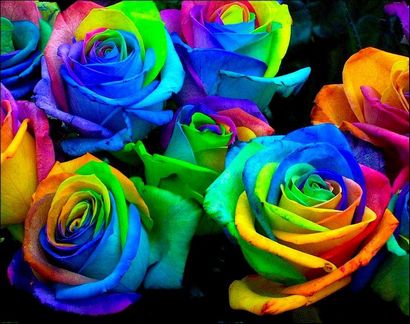 Erfahren Sie, wie einfach Bunt- und Regenbogen-To Make Roses