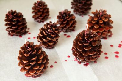 Apprenez à faire vos propres Pinecone Allume-feu!