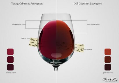 Lernen Sie die Geheimnisse der einzelnen Rotwein Farbe, Wein Folly